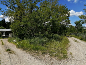 商人留字野崎　50万円