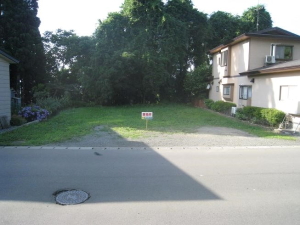 字一本杉　500万円